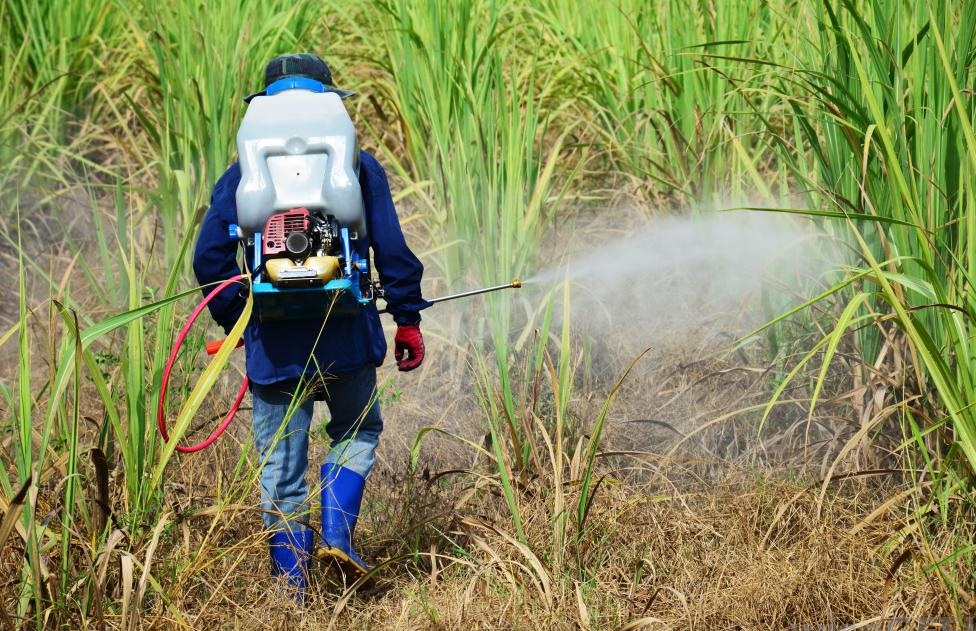 insecticide spraying