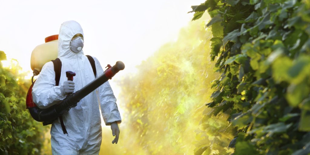 Pesticides, Birth Defects and Brain Damage in Children