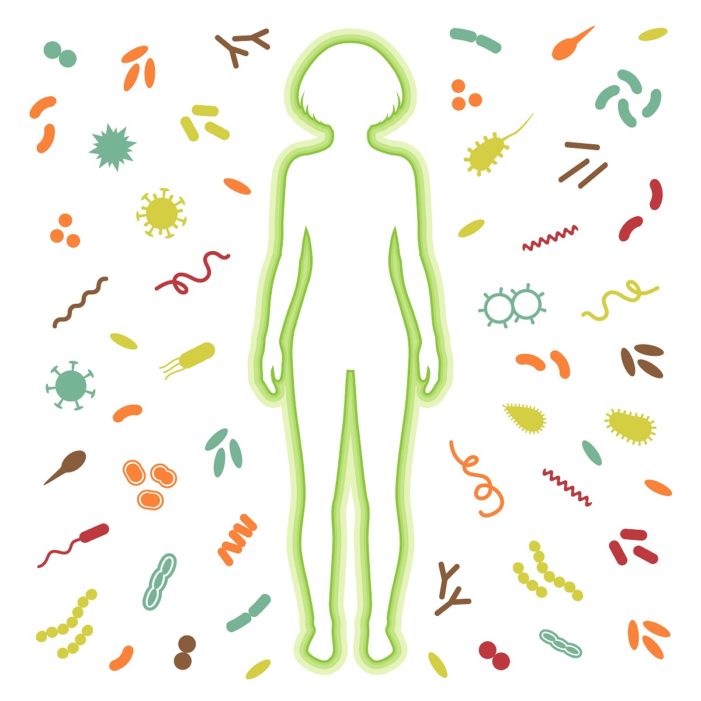 The Immune System: The Body’s Battlefield