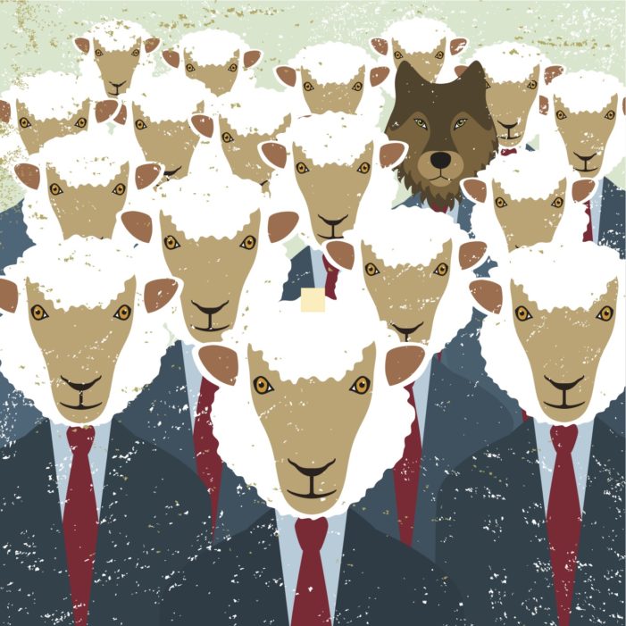 This Herd Mentality is for the Birds This Herd Mentality is for the Birds