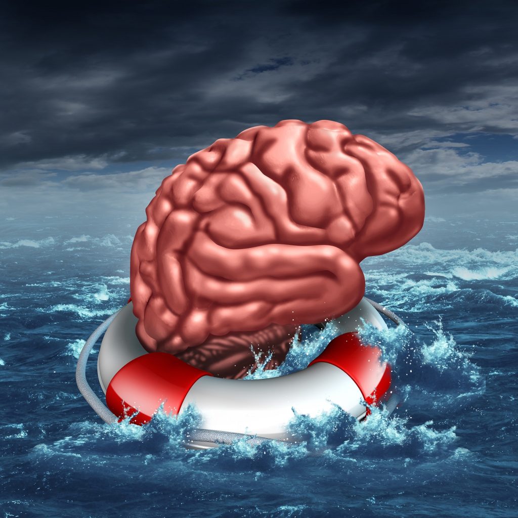 Our Expanding Waistlines and Diminishing Brains Our Expanding Waistlines and Diminishing Brains