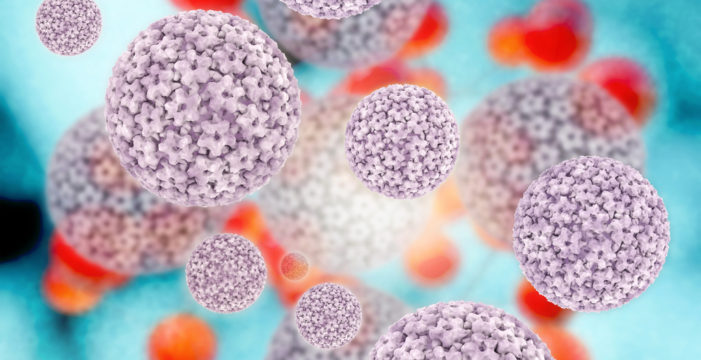 cancer cells A DES Daughter’s Perspective on Cervical Cancer and the HPV Vaccine