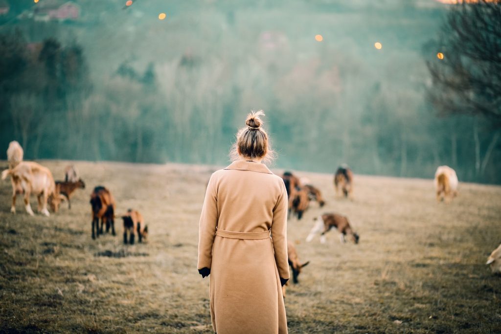 Mass Vaccination Does Not Guarantee Herd Immunity Mass Vaccination Does Not Guarantee Herd Immunity
