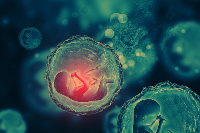 Moral Implications of Human Fetal Cell Lines in Vaccine Production