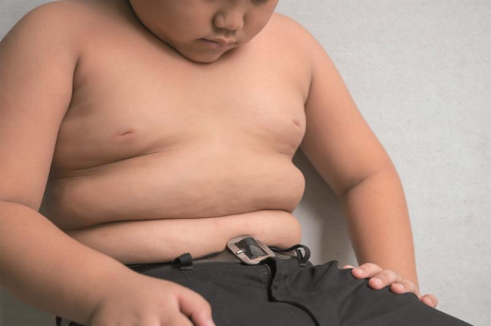 More Than 20 Percent of Children in America Suffer from Obesity