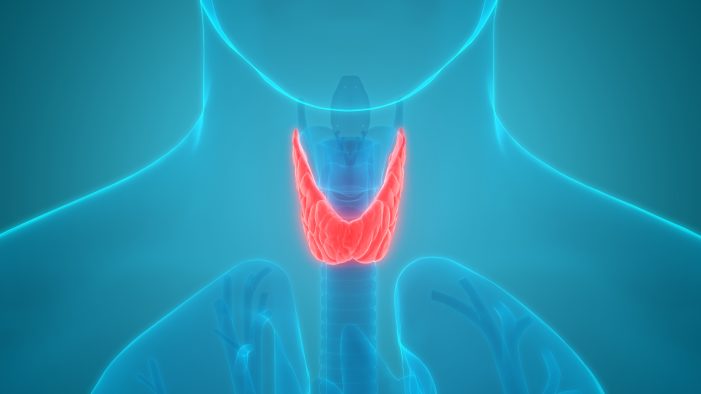 Thyroid Disorders Can Be Caused or Worsened by COVID Shots