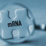mRNA research