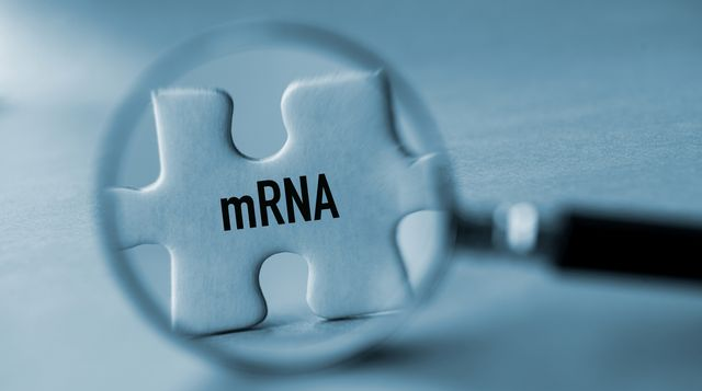 mRNA research