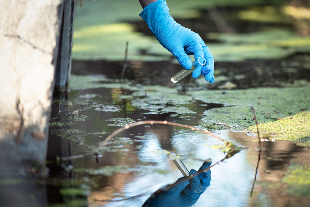 Vaccine Strain Poliovirus Detected in Gaza Sewage—WHO Sending a Million Doses of Polio Vaccine Vaccine Strain Poliovirus Detected in Gaza Sewage—WHO Sending a Million Doses of Polio Vaccine
