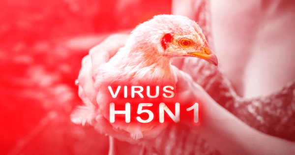 First Severe Case of Human Bird Flu Confirmed in U.S. – The Vaccine ...