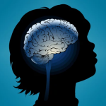 child's brain