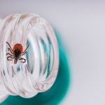tick on bottle