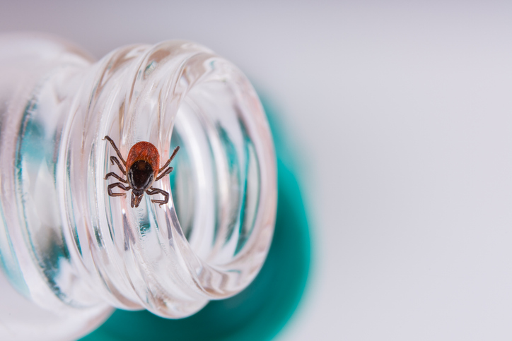 tick on bottle