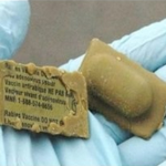 rabies vaccine
