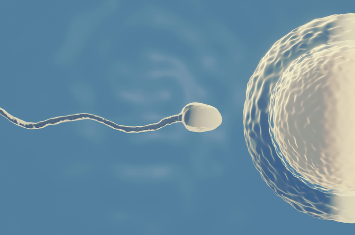 Study Finds Lower Conception Rates Among Women Who Got mRNA COVID Shots