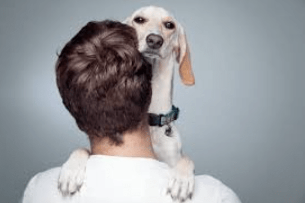 More Pet Owners Hesitant to Vaccinate Their Animals More Pet Owners Hesitant to Vaccinate Their Animals