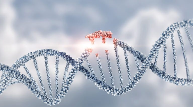 The NY Times Acknowledges That Autism is Not Primarily Genetic The NY Times Acknowledges That Autism is Not Primarily Genetic