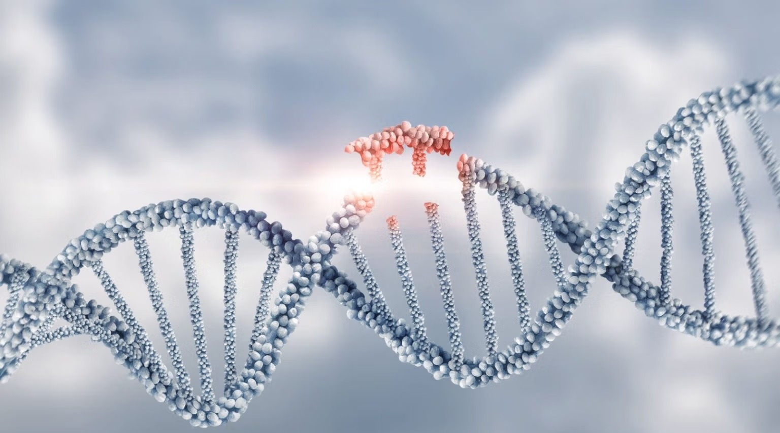 The NY Times Acknowledges That Autism is Not Primarily Genetic