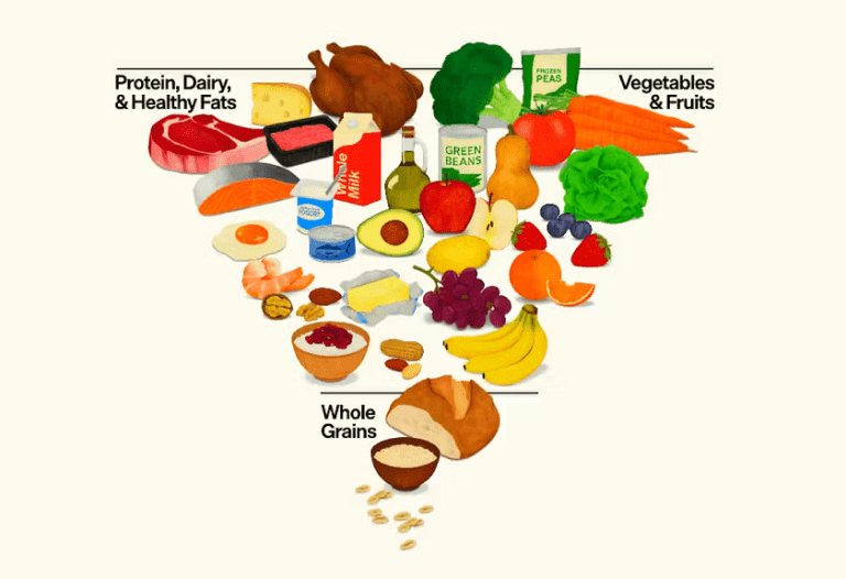 New Food Pyramid Calls for Placing Real Food at the Center of Health New Food Pyramid Calls for Placing Real Food at the Center of Health