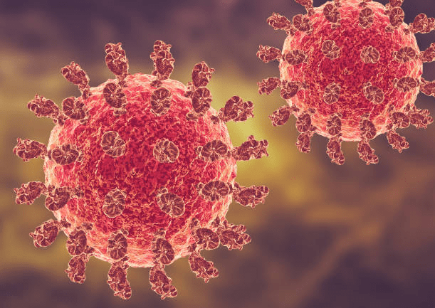Nipah Virus Cases in Asia Increase Pressure to Develop a Vaccine