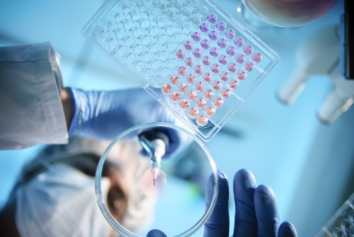 U.S. Researcher Wins .9 Million USDA Grant to Develop Novel Bird Flu Vaccine