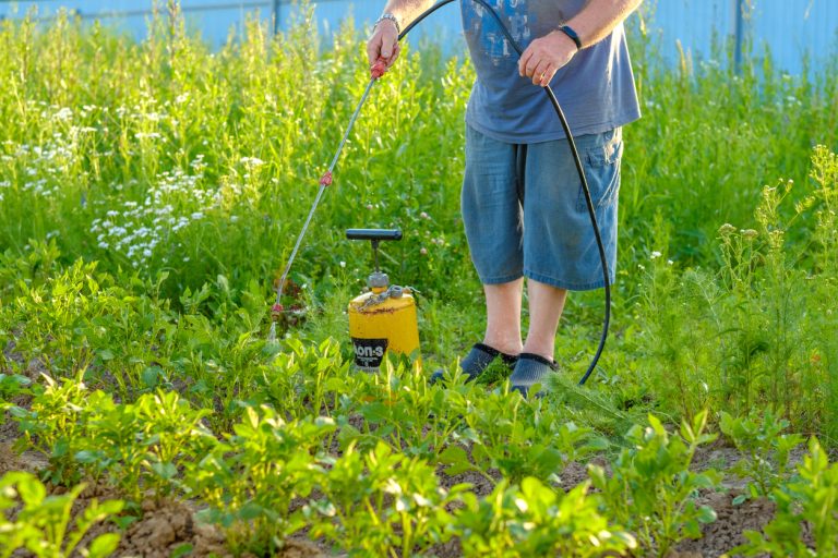 Rising Rates of Colorectal Cancer in Young Adults Linked to Bayer’s RoundUp Weedkiller Rising Rates of Colorectal Cancer in Young Adults Linked to Bayer’s RoundUp Weedkiller