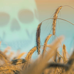 Supreme Court Bars Roundup Cancer Lawsuits Supreme Court Bars Roundup Cancer Lawsuits