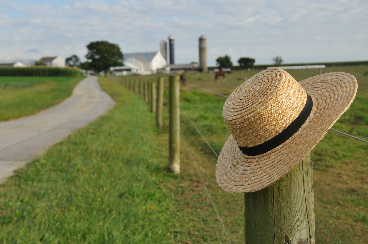 Amish Threaten to Leave New York as Vaccine Mandate Case Heads to Supreme Court